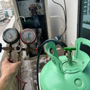 WhatsApp Image 2024-01-04 at 11.46.26 (1)