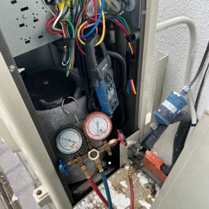 WhatsApp Image 2024-01-04 at 11.46.26